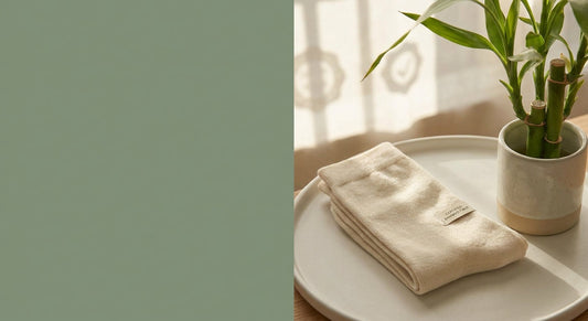 Neatly folded bamboo socks placed beside a small bamboo plant on a clean white surface, bathed in soft natural light.
