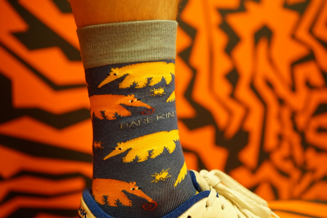 A person wearing a pair of colorful socks
