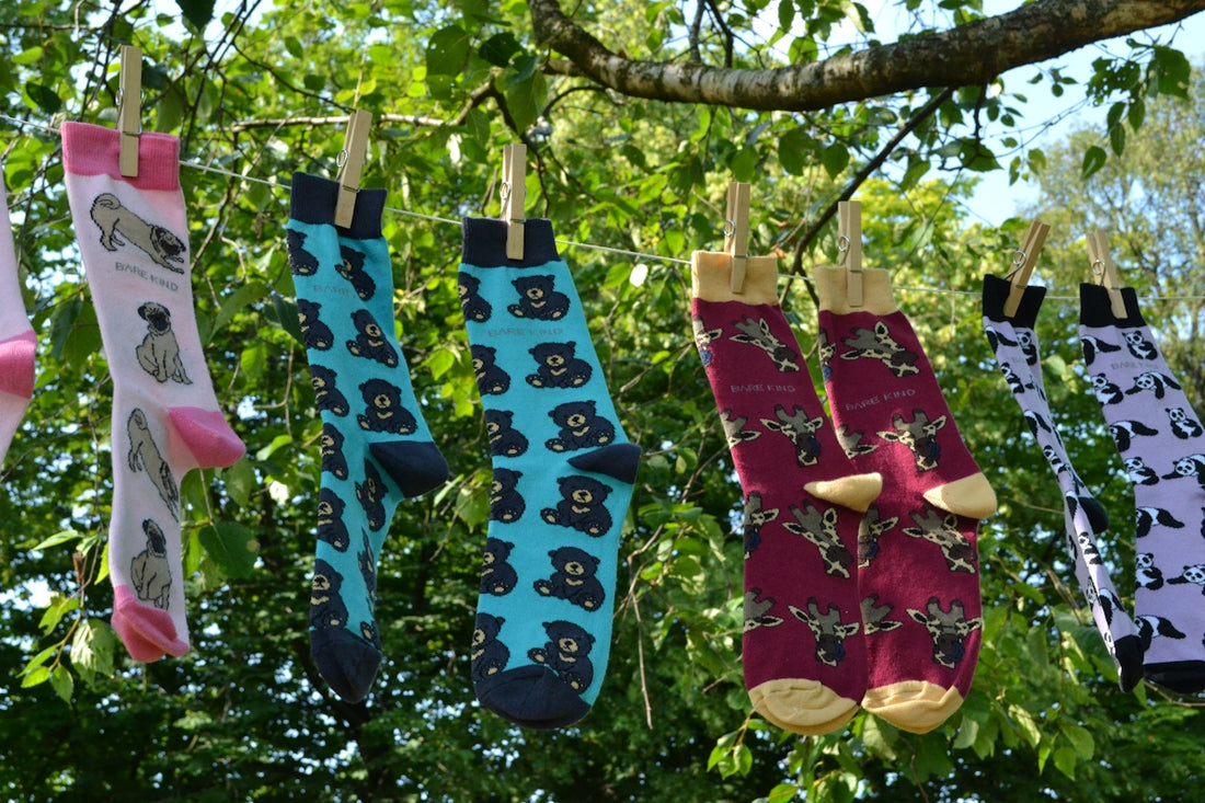 A group of socks hanging from a tree