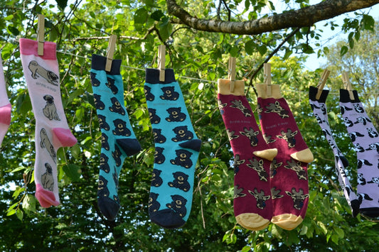 A group of socks hanging from a tree