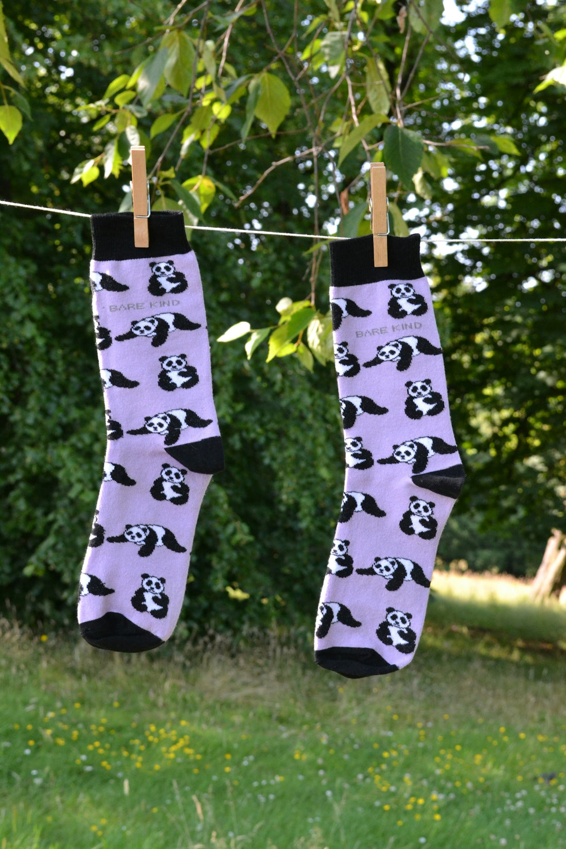 A couple of socks hanging from a clothes line