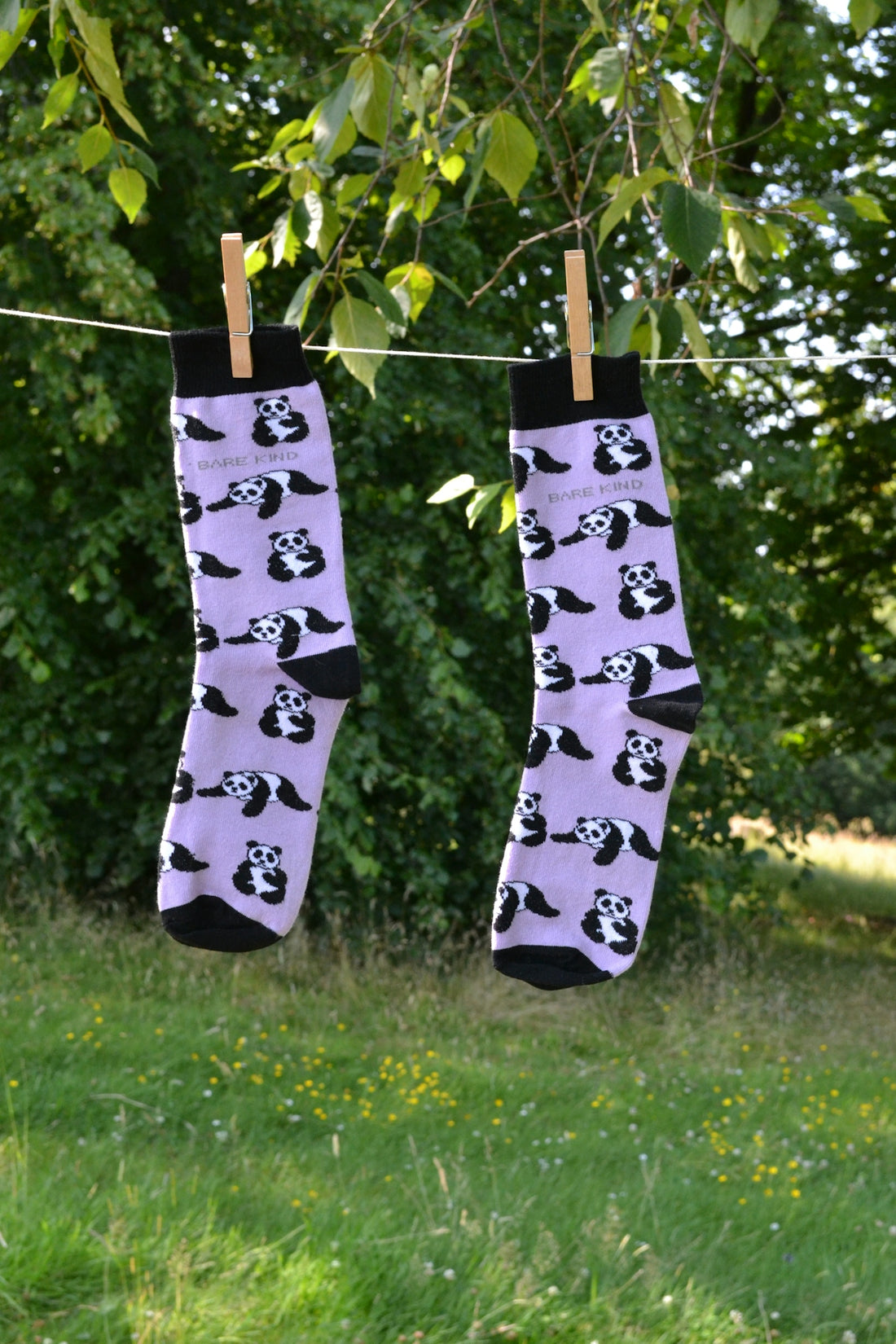 A couple of socks hanging from a clothes line