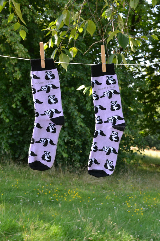A couple of socks hanging from a clothes line