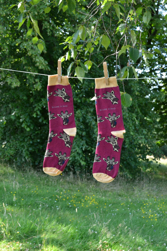 A pair of socks hanging from a clothes line
