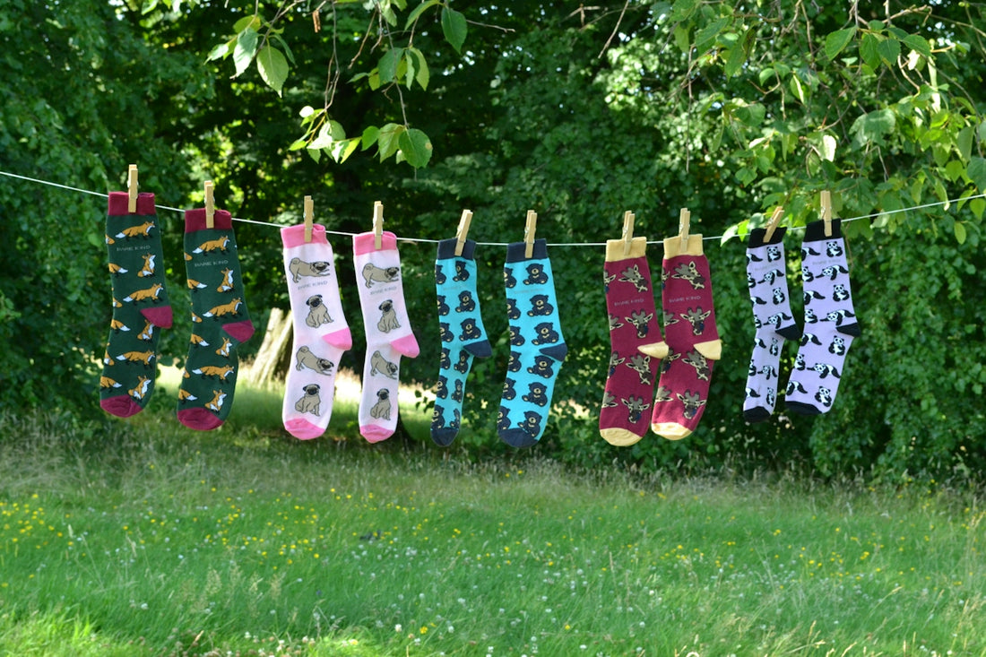 A line of socks hanging from a clothes line