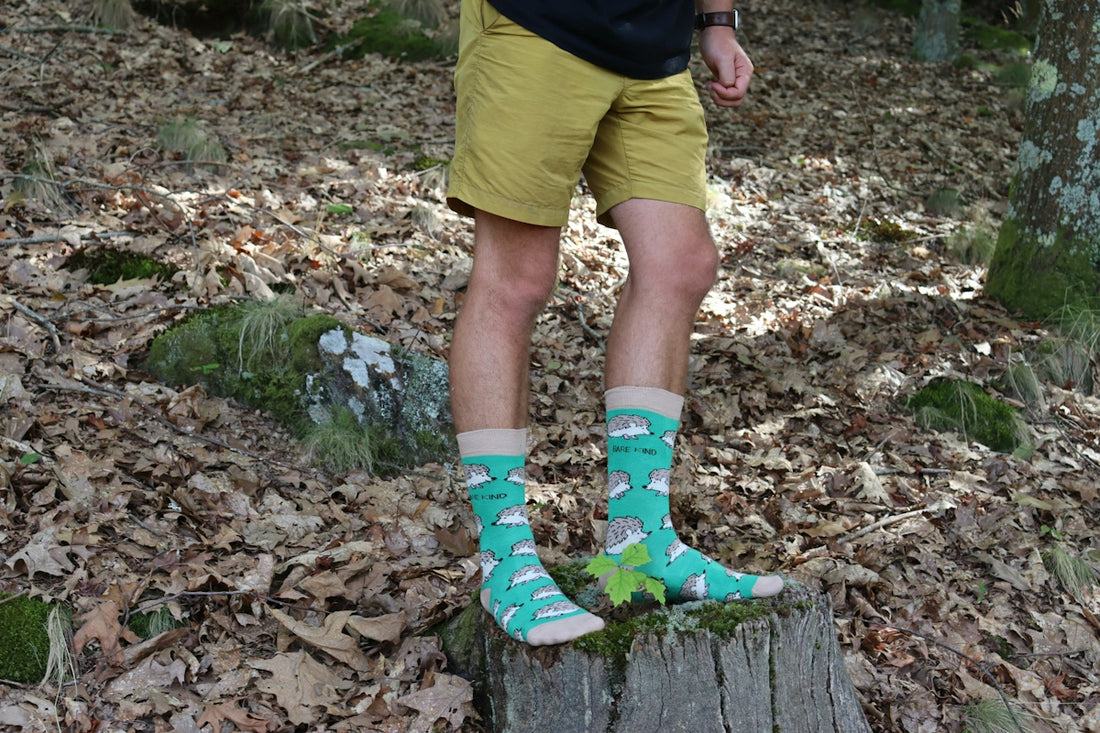 A man standing on a log in the woods