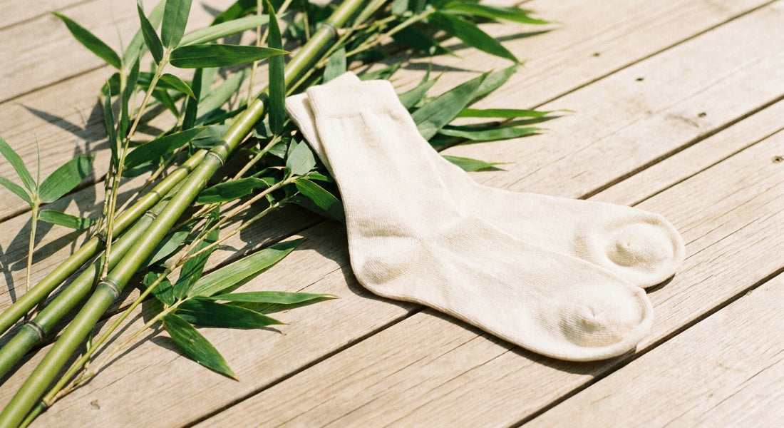 Light-colored bamboo socks resting on a sun-warmed wooden surface alongside fresh bamboo stalks and green leaves in bright natural summer light.